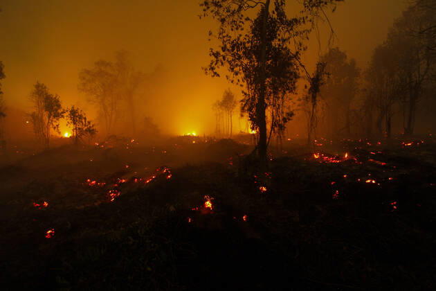 Bilder des Jahres 2019, News 09 September News Bilder des Tages (190922) -- RIAU, Sept. 22, 2019 -- Photo taken on Sept. 22, 2019 shows a forest fire in Kampar, Riau province, Indonesia. (Photo by Xinhua) INDONESIA-RIAU-FOREST FIRE HadlyxVavaldi 