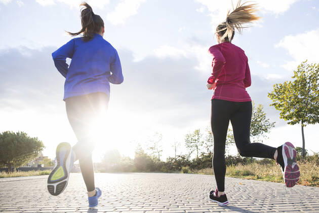 Rear view of women running together in a park, against morning sun model released Symbolfoto  ABZF02543