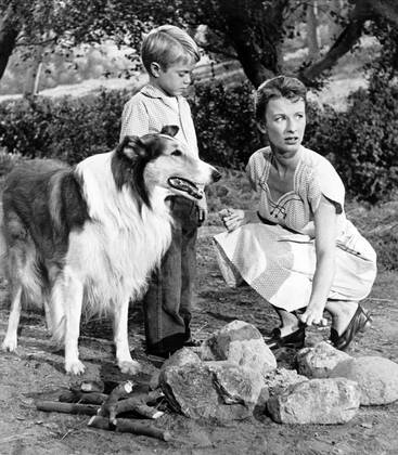 Jon Provost & Dog Film: Lassie (1954) Director: Bonita Granville 12 September 1954 Copyright: MaryxEvansxAFxArchive 12073435 editorial use only