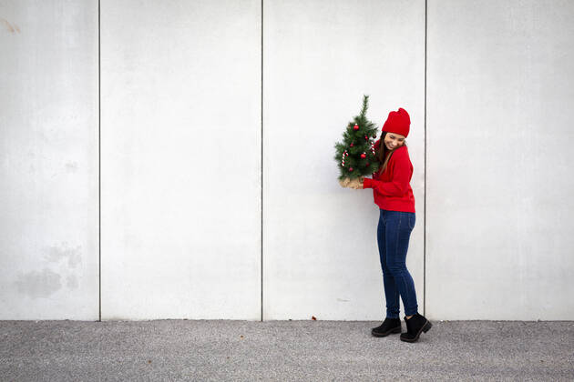 Woman wearing red pullover and wolly hat, holding artificial Christmas tree in front of a wall model released Symbolfoto HMEF00684