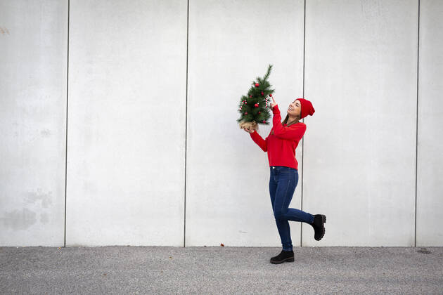 Woman wearing red pullover and wolly hat, holding artificial Christmas tree in front of a wall model released Symbolfoto HMEF00686