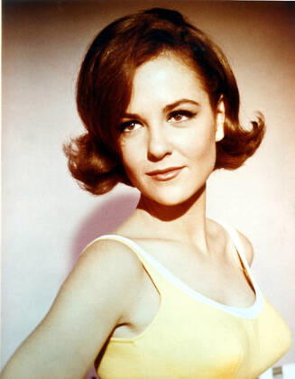 GIRL HAPPY, Shelley Fabares, 1965 PUBLICATIONXNOTxINxCANxCHNxFRAxITAxJPNxNORxPOLxRUSxESPxUKxUSA Copyright: xCourtesyxEverettxCollectionx M8DGIHA EC001
