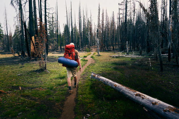 IMAGO Creative: Ende des Sommers Man Backpacking Through Burnt Forest Bend, OR, United States ,model released, Symbolfoto CR_ADMC200121-297090-01