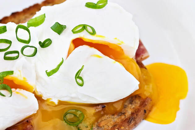 Poached Eggs Macro of sliced poached eggs over turkey bacon and whole wheat toast. These are fresh free range eggs, so the yolk is a nice rich color.  Copyright: xStephanieFreyx 607708