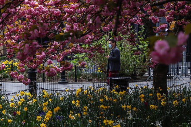 April 14, 2020, New York, NEW YORK, EUA: Movement in Washington Square Park in the spring of New York during the Coronavirus COVID-19 pandemic in the United States. New York USA - ZUMAc233 20200414_zsp_c233_081 Copyright: xVanessaxCarvalhox