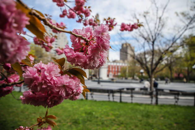 April 14, 2020, New York, NEW YORK, EUA: Movement in Washington Square Park in the spring of New York during the Coronavirus COVID-19 pandemic in the United States. New York USA - ZUMAc233 20200414_zsp_c233_082 Copyright: xVanessaxCarvalhox