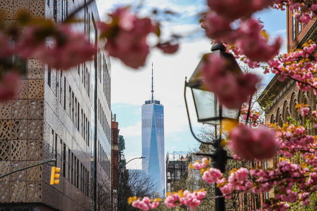 April 14, 2020, New York, NEW YORK, EUA: Movement in Washington Square Park in the spring of New York during the Coronavirus COVID-19 pandemic in the United States. New York USA - ZUMAc233 20200414_zsp_c233_090 Copyright: xVanessaxCarvalhox