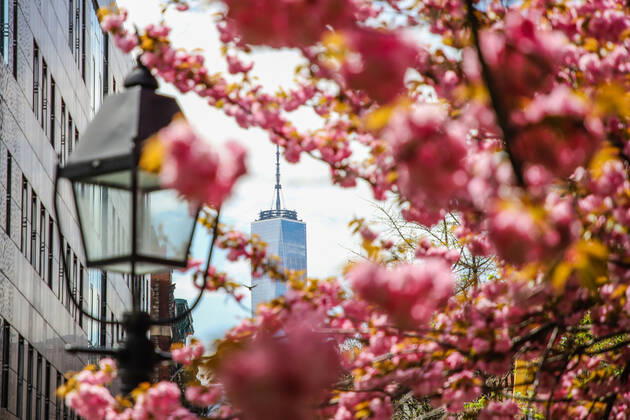 April 14, 2020, New York, NEW YORK, EUA: Movement in Washington Square Park in the spring of New York during the Coronavirus COVID-19 pandemic in the United States. New York USA - ZUMAc233 20200414_zsp_c233_091 Copyright: xVanessaxCarvalhox