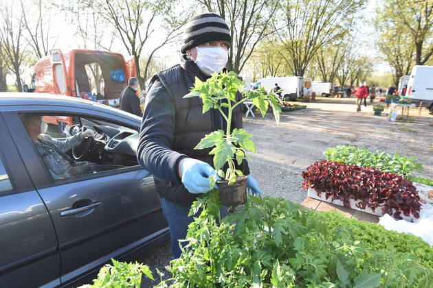 Drive-thru market in Cakovec, Croaita 15.04.2020., Cakovec, Croatia - People buy food without getting off the car at a drive-thru market in Cakovec, Croatia. VjeranxZganecxRogulja PIXSELL