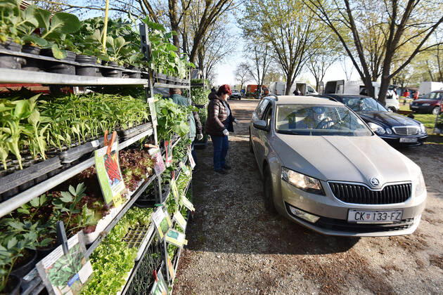 Drive-thru market in Cakovec, Croaita 15.04.2020., Cakovec, Croatia - People buy food without getting off the car at a drive-thru market in Cakovec, Croatia. VjeranxZganecxRogulja PIXSELL