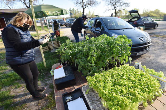Drive-thru market in Cakovec, Croaita 15.04.2020., Cakovec, Croatia - People buy food without getting off the car at a drive-thru market in Cakovec, Croatia. VjeranxZganecxRogulja PIXSELL