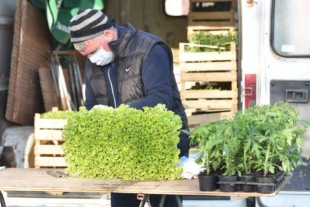 Drive-thru market in Cakovec, Croaita 15.04.2020., Cakovec, Croatia - People buy food without getting off the car at a drive-thru market in Cakovec, Croatia. VjeranxZganecxRogulja PIXSELL