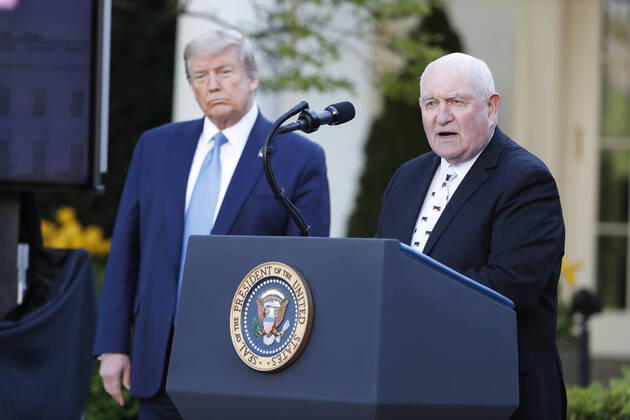 US President Donald J. Trump (L) as US Secretary of Agriculture Sonny Perdue (R) speaks during the Coronavirus Task Force briefing on the COVID-19 pandemic in the Rose Garden at the White House in Washington, DC, USA, 15 April 2020. Copyright: xPoolxviaxCNPx xMediaPunchx