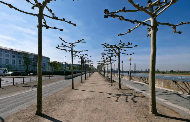 Leere Strassen in Düsseldorf während der Corona Krise, Rheinuferpromenade.