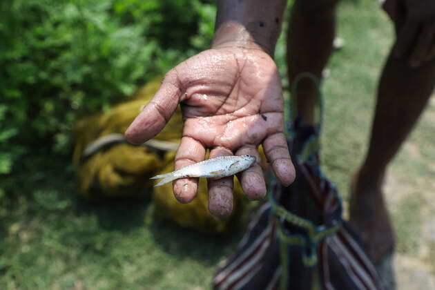 Finding alternative ways of earn amid COVID-19 Many people who have already lost their jobs during the nationwide complete lockdown, are now looking for the alternative ways to earn money. Today almost hundreds of fishermen (Some of them were from different professions) observed in a canal, who were catching small fishes to sell them in the markets to earn money. Kolkata West Bengal India Copyright: JitxChattopadhyay