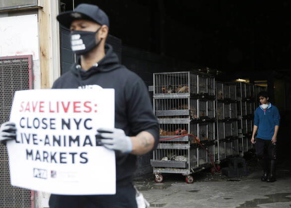A protester holds a sign standing in front T & S Live Poultry as PETA holds a protest urging closures to live-animal markets in order to stop animal-borne diseases from spreading in New York City on Tuesday, April 21, 2020. The Coronavirus is believed to have originated in a wet market in China, where live and dead animals were sold for food.  NYP20200421116 JOHNxANGELILLO