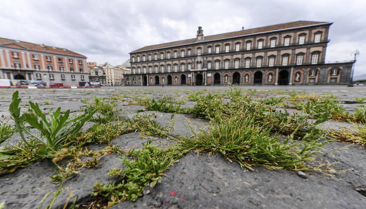 The grass grows in the cracks in the pavement of Plebiscito square in front of the Royal Palace, in the city center, after a month of lockdown. In Italy the lockdown still continue Government Decree declaring all of Italy a protected area to combat covid-19 - coronavirus infection, closing schools, public offices and shops.  Copyright: xSalvatorexLaportax xIPAx xKontrolabx