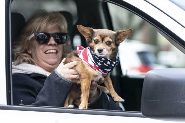 NY: Operation Gridlock in Albany Woman with dog in American flag bandana participates in Operation Gridlock protest outside of New York State Capitol Building. Participants demanded reopening of New York State. Many people on the street disregarded wearing facial masks and keep social distances. Albany New York United States Copyright: LevxRadin