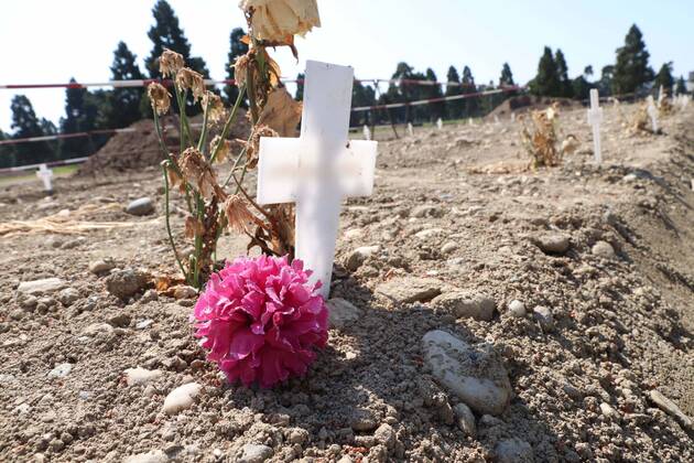 foto ipp clemente marmorino milano 23 04 2020 emergenza coronavirus - i corpi delle vittime da covid 19 non reclamati dai parenti vengono seppelliti al campo 87 del cimitero maggiore nella foto piccole croci bianche e un fiore viola dove sono state sepolte le bare  0