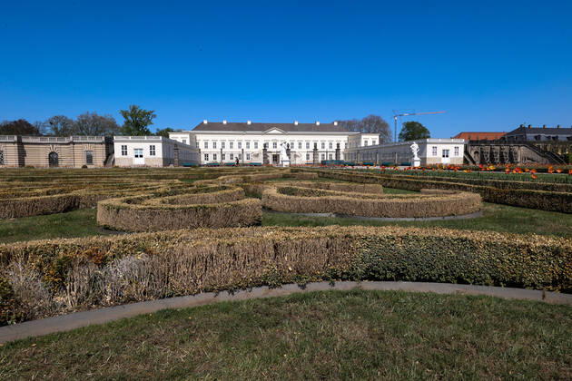 Hannover, 24.04.2020, Corona-Krise nach Shutdown öffnen ab heute wieder die Herrenhäuser Gärten-Berggarten, Pilz bedroht Buchsbäume in den Herrenhäuser Gärten,