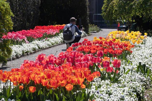 Hannover, 24.04.2020, Corona-Krise nach Shutdown öffnen ab heute wieder die Herrenhäuser Gärten-Berggarten,