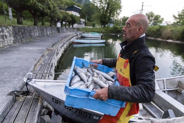 Brison-Saint-Innocent, France April 25, 2020 - Professional fisherman Mickael Ranson continues to work during the confinement period, he raises his nets in Lac Du Bourget in the early morning PECHEUR, PECHE, CONFINEMENT, POISSON, LAC DU BOURGET, SAVOIE, CHAUTAGNE, METIERS, EAUX POISSONEUSES, ECONOMIE, TRAVAIL, CONFINEMENT, ALIMENTATION, ALIMENTAIRE, PECHER, FILETS DE PECHE, ACTIVITE PROFESSIONNELLE, ALPES, GESTION PISCICOLE, RESSOURCES NATURELLES, MANGER, SE NOURRIR, APPROVISIONNEMENT, AUBE, MATIN, MATINAL, LEVE TOT, DENREES ALIMENTAIRES, PRODUITS LOCAUX, PRODUCTION LOCALE, LAVARETS, CAPTURE, CAPTURER, FERA,  Copyright: xVincentxIsorex