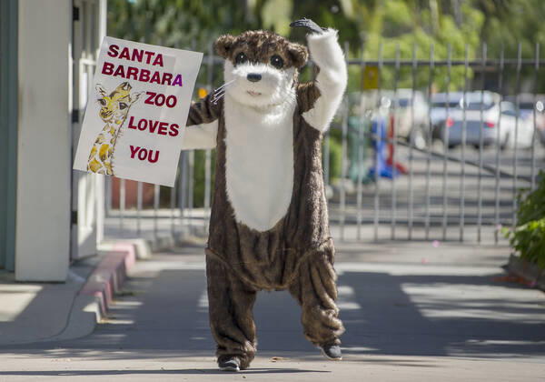 April 25, 2020, Santa Barbara, California, USA: Faced with a severe financial crisis due to the coronavirus pandemic, the Santa Barbara Zoo, closed since March 17, hosted a Ã’Drive By, Wave HiO donation parade, allowing people to make donations as they drove through the zoos parking lot. Santa Barbara USA - ZUMAh13_ 20200425_zaf_h13_001 Copyright: xPJxHellerx