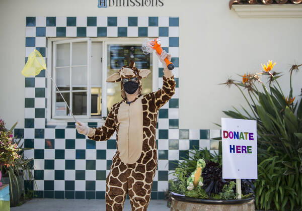 April 25, 2020, Santa Barbara, California, USA: Faced with a severe financial crisis due to the coronavirus pandemic, the Santa Barbara Zoo, closed since March 17, hosted a Ã’Drive By, Wave HiO donation parade, allowing people to make donations as they drove through the zoos parking lot. Santa Barbara USA - ZUMAh13_ 20200425_zaf_h13_002 Copyright: xPJxHellerx