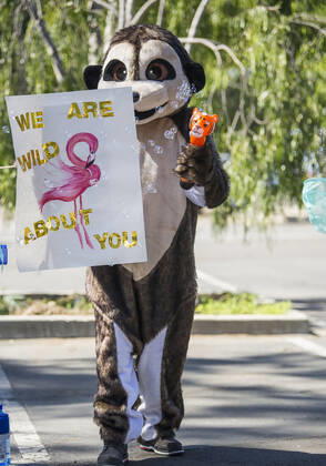 April 25, 2020, Santa Barbara, California, USA: Faced with a severe financial crisis due to the coronavirus pandemic, the Santa Barbara Zoo, closed since March 17, hosted a Ã’Drive By, Wave HiO donation parade, allowing people to make donations as they drove through the zoos parking lot. Santa Barbara USA - ZUMAh13_ 20200425_zaf_h13_004 Copyright: xPJxHellerx