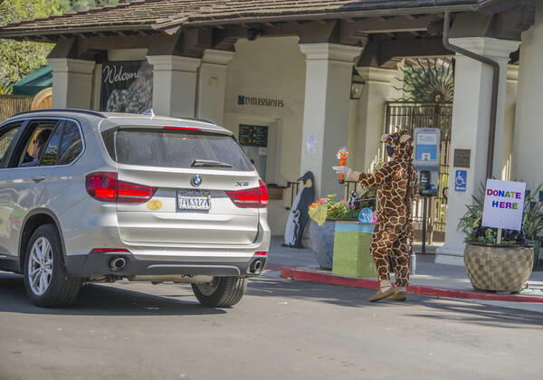 April 25, 2020, Santa Barbara, California, USA: Faced with a severe financial crisis due to the coronavirus pandemic, the Santa Barbara Zoo, closed since March 17, hosted a Ã’Drive By, Wave HiO donation parade, allowing people to make donations as they drove through the zoos parking lot. Santa Barbara USA - ZUMAh13_ 20200425_zaf_h13_006 Copyright: xPJxHellerx
