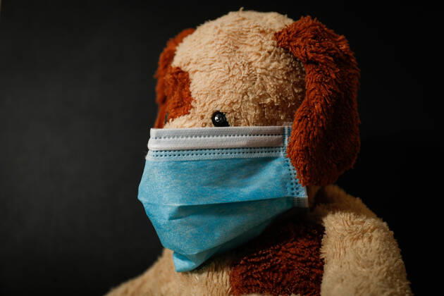 April 26, 2020, Valdemoro, MADRID, SPAIN: Illustration, A stuffed dog with a sanitary mask during the State of Alarm caused by the Covid-19 Pandemic on April 26, 2020 in Valdemoro, Madrid, Spain Valdemoro SPAIN - ZUMAa181 20200426_zaa_a181_041 Copyright: xOscarxJ.xBarrosox