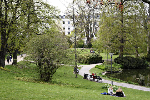 Koebenhavnerne nyder foraarssolen i OErstedsparken i Koebenhavn soendag den 26. april 2020. Der er forsamlingsforbud paa over ti personer paa grund af faren for smitte med coronavirus - covid-19. ** OBS billedet et optaget med et teleobjektiv og afstanden mellem personer paa billedet kan opfattes mindre en den reelt er.**.. , Copenhagen Denmark Copyright: PhilipxDavali PhilipxDavalix COP107 spdk20200426-175253-L