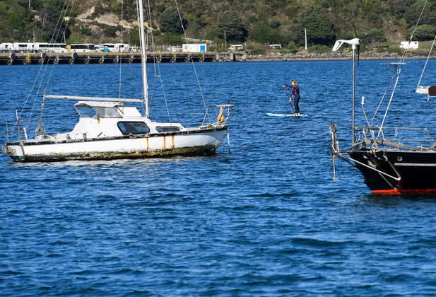 (200428) -- WELLINGTON, April 28, 2020 -- A girl paddles on the sea in Wellington, New Zealand, April 28, 2020. New Zealand moved from Alert Level 4 to Alert Level 3 on Tuesday and will stay for at least two weeks at Level 3 before a further review and Alert Level decision on May 11. ) NEW ZEALAND-WELLINGTON-COVID-19-ALERT LEVEL GuoxLei 