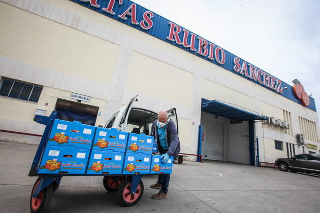 April 28, 2020: April 28, 2020 (Malaga) The Altamar Association receives fruit in Mercamalaga in Fruits Rubio Sanchez for food distribution for 30 needy families - ZUMAc161 20200428_zap_c161_004 Copyright: xLorenzoxCarnerox