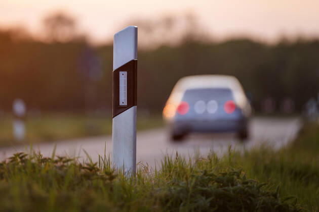 Leitpfosten auf einer Landstraße bei Meschenich. Köln, 20.05.2020