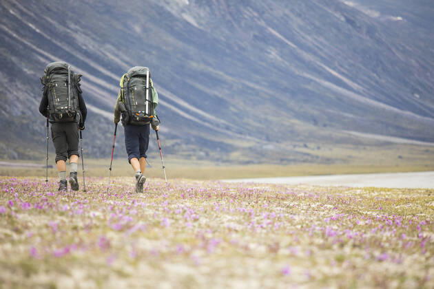 Rear view of two backpackers hiking through wildflower meadow. Pangnirtung, NU, Canada CR_JDIP200331-320822-01,model released, Symbolfoto