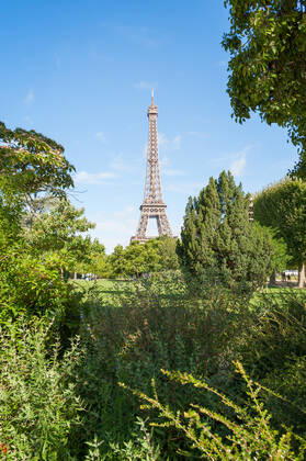 Eiffel Tower, Paris, France 314904562663424093