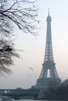 Eiffel Tower, Paris, France 316481657472286738