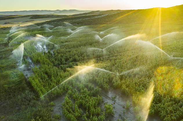 IMAGO Creative: Corporate: Klimaschutz, Digitalisierung und Urbanisierung IMAGO Creative: Klimawandel - Zukunft und Innovation Farmland with watering. Aerial view. Navarre, Spain, Europe. Navarre Spain Copyright: xMikelxBilbaox MBG-20-01-095