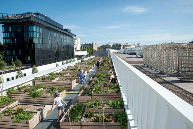 IMAGO Creative: Corporate: Klimaschutz, Digitalisierung und Urbanisierung aris France 23 Juin 2020 Ouverture d une ferme urbaine geante. Le projet NU-Paris, pour Nature Urbaine,sur le toit du Hall 6 du Parc des Expositions. La plus grande ferme urbaine en toiture d’Europe dans le 15eme arrondissement est specialise dans le maraichage, des animations pedagogiques et des potagers a la location pour les particuliers sont egalement proposes.Opening of a giant urban farm. The NU-Paris project, for Nature Urbaine, on the roof of Hall 6 of the Parc des Expositions. The largest roofed urban farm in Europe in the 15th arrondissement specializes in market gardening, educational activities and vegetable gardens for rent for individuals are also available on June 23 2020