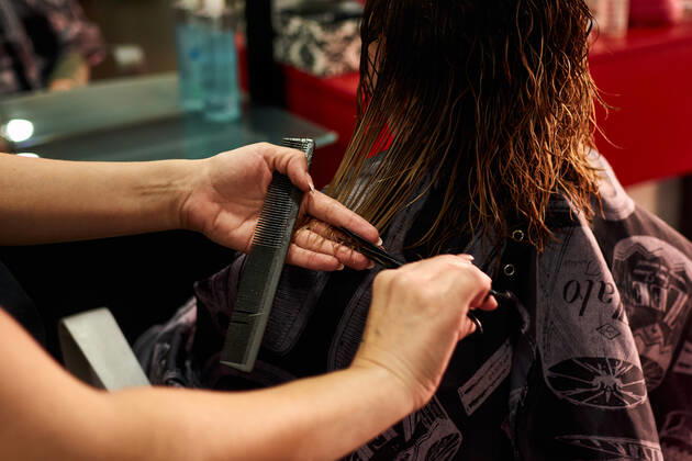 A close-up of a hairdresser cutting client s hair. Small business Villena, Valencian Community, Spain CR_CRBL200605-417613-01 ,model released, Symbolfoto