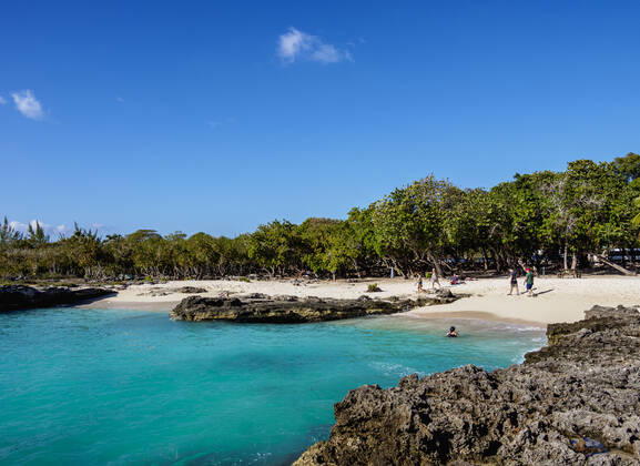 Smith Cove Beach, George Town, Grand Cayman, Cayman Islands, Caribbean, Central America Copyright: KarolxKozlowski 1245-1950