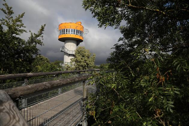 Baumkronenpfad Schönstedt 15.07.2020 , Schönstedt, Baumkronenpfad im Nationalpark Hainich