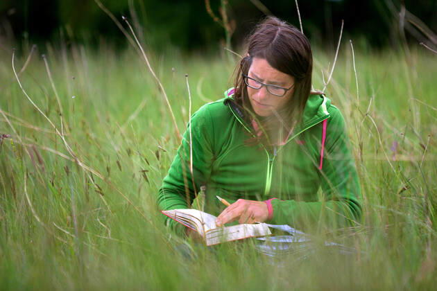 IMAGO Creative: Klimawandel - Zukunft und Innovation Botanikerin bestimmt in der Natur eine Pflanze, Belgien female botanist exploring nature, determinating a plant, Belgium BLWS625441