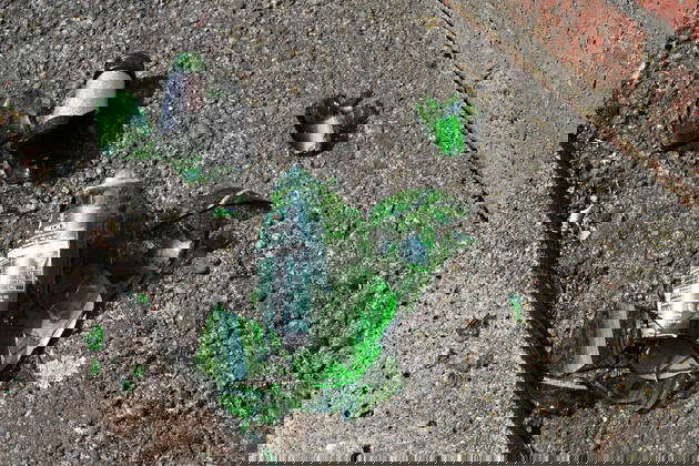 Kaputte Flasche Fotos Imago