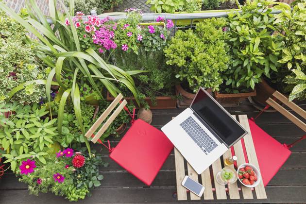Laptop lying on balcony table surrounded by various summer herbs and flowers property released GWF06619