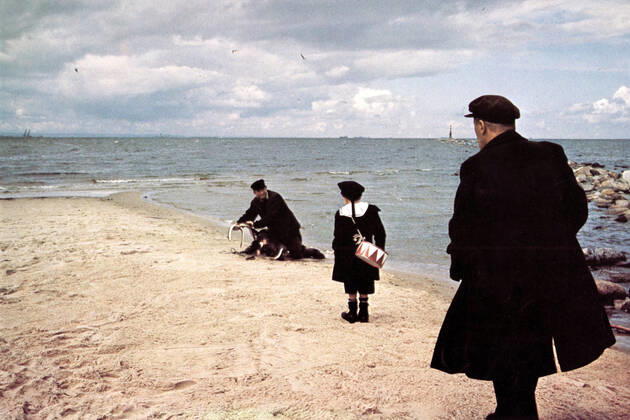 DIE BLECHTROMMEL aka THE TIN DRUM , DAVID BENNENT, MARIO ADORF Date: 1979. Strictly editorial use only in conjunction with the promotion of the film. Credit line mandatory. This image is copyright of the film company and is supplied under the terms of issue as film still. No commercial or book cover use permitted without prior consent from the film company. Mandatory credit line: Image courtesy ARGOS FILMS ARTEMIS PRODUCTIONS BIOSKOP FILMS FILM POL Ronald Grant Archive Mary Evans