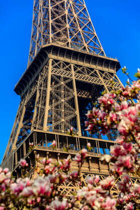 Eiffel Tower 3, Paris, France 650638840479875072