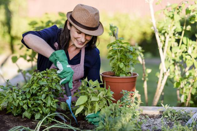 IMAGO Creative, Jahreszeit Sommer, Sonnenschutz Frau bei Gartenarbeit am Hochbeet, Deutschland, Europa Copyright: imageBROKER/MichaelaxBegsteiger ibxbeg05786545