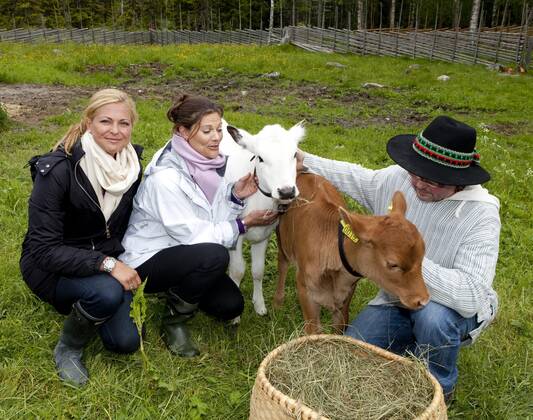 Crown Princess Victoria and Princess Madeleine Visit to the summer pasture forests, Gävleborg 2009 06 15 c Charles Hammarsten IBL royal house Sweden x2492x, Copyright: xCharlesxHammarsten TTx Besök i fäbodskogarna, Gävleborg